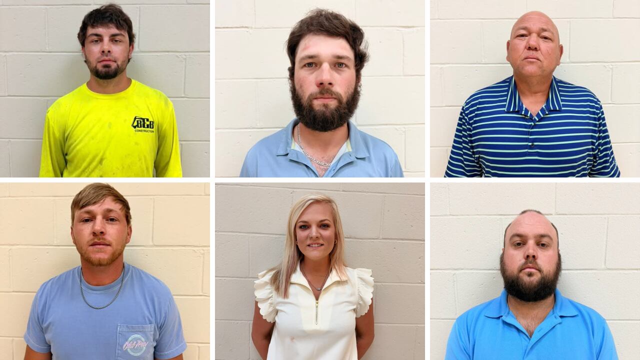 Six arrested after sandbar brawl in Calhoun County, deputies say