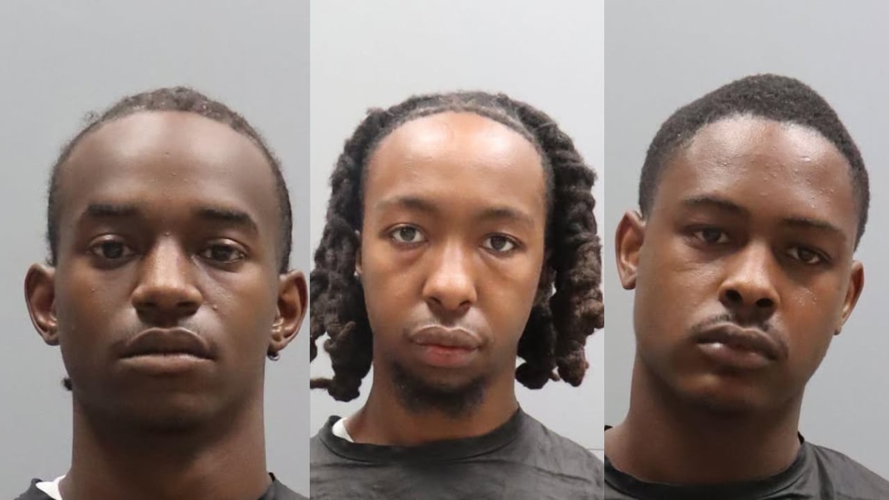 RCSD: 3 men arrested after found with nearly three pounds of marijuana, 17 dogs