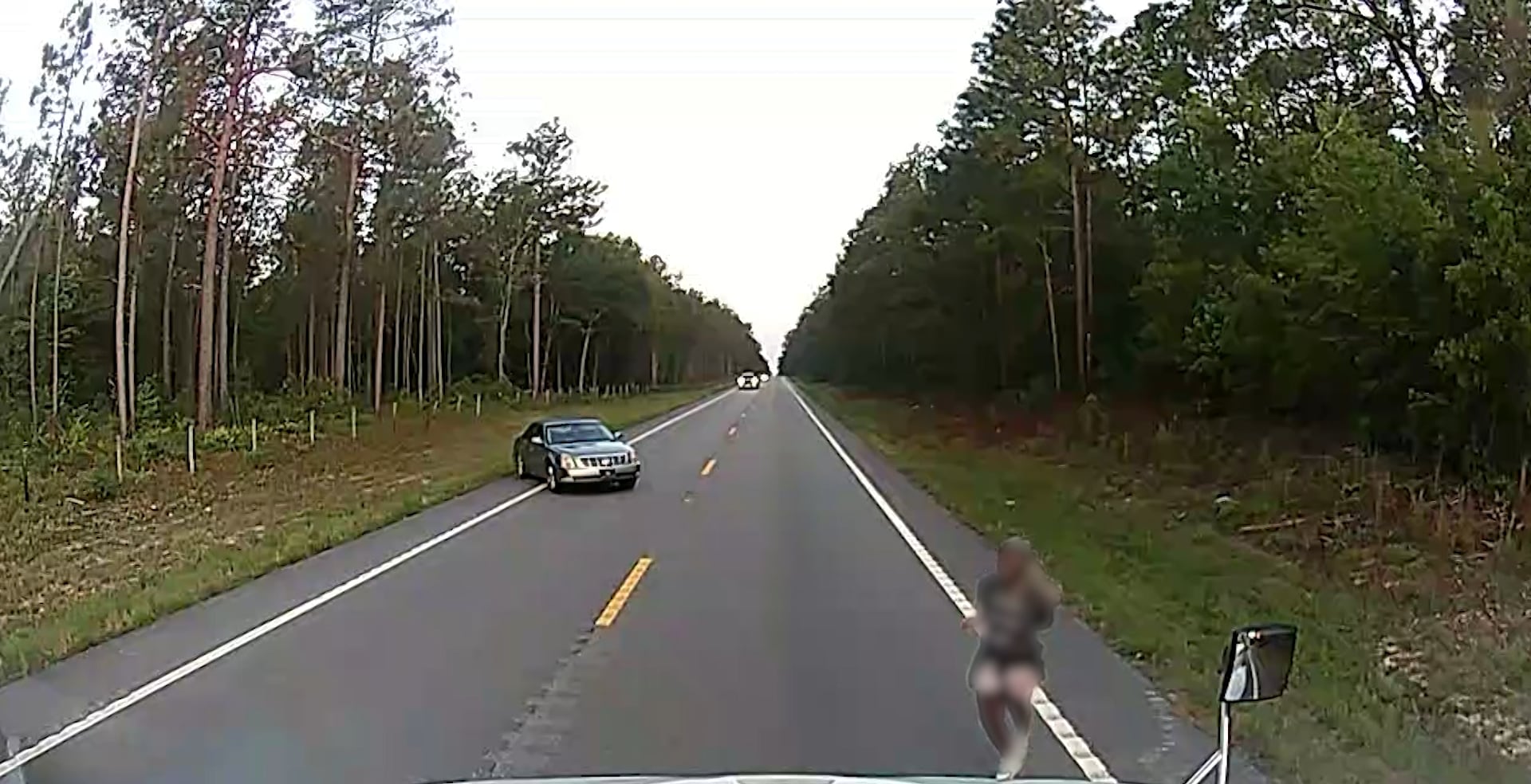 Truck driver rescues woman from alleged kidnapping attempt on Aiken County road