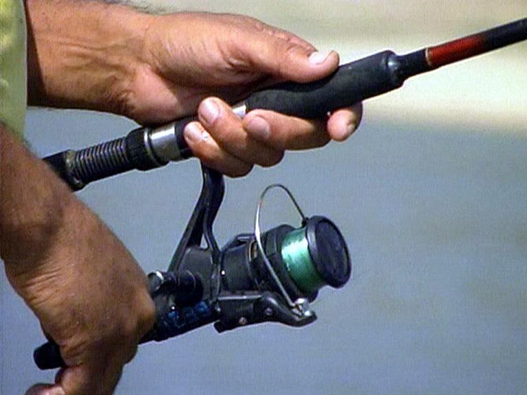 SCDNR red snapper pilot season delayed as federal injunction keeps permit suspended