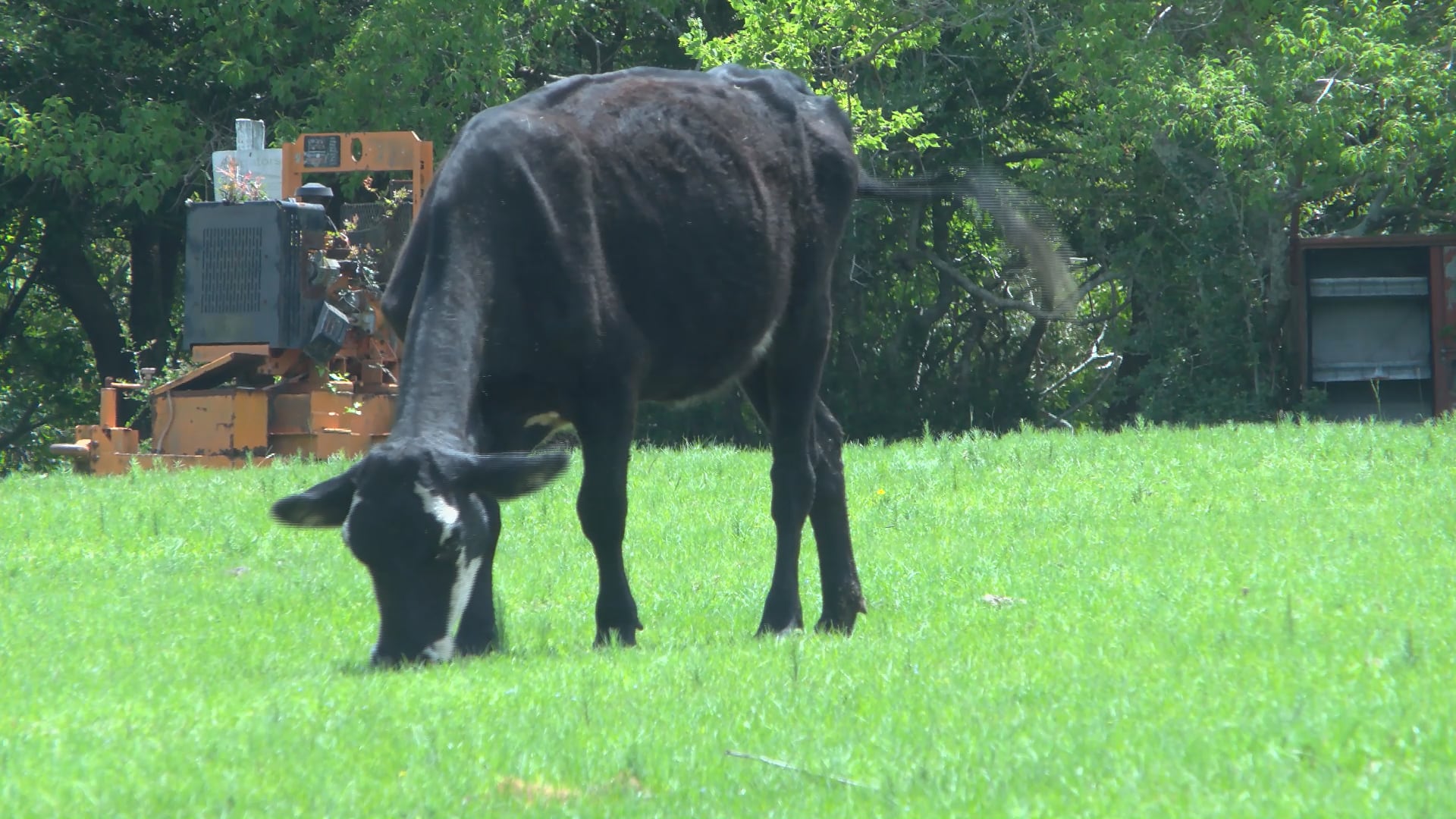 SC farmers struggle with high fertilizer costs as Strait of Hormuz remains unstable