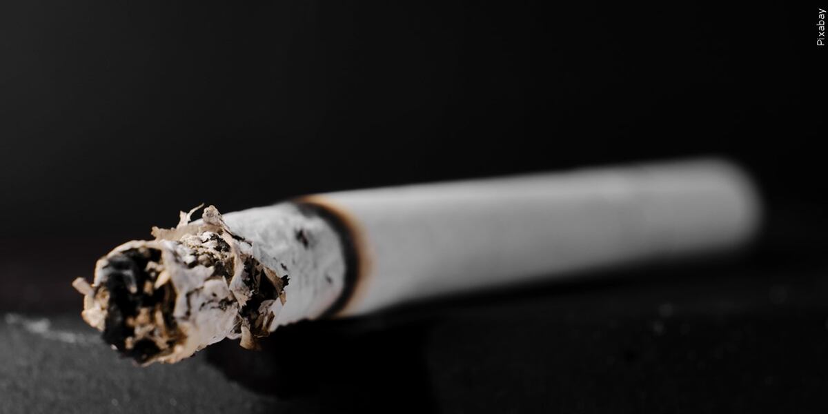 cut down to 1 cigarette a day A single cigarette could cut your life down by 20 minutes, study says cut down to 1 cigarette a day A single cigarette could cut your life down by 20 minutes, study says