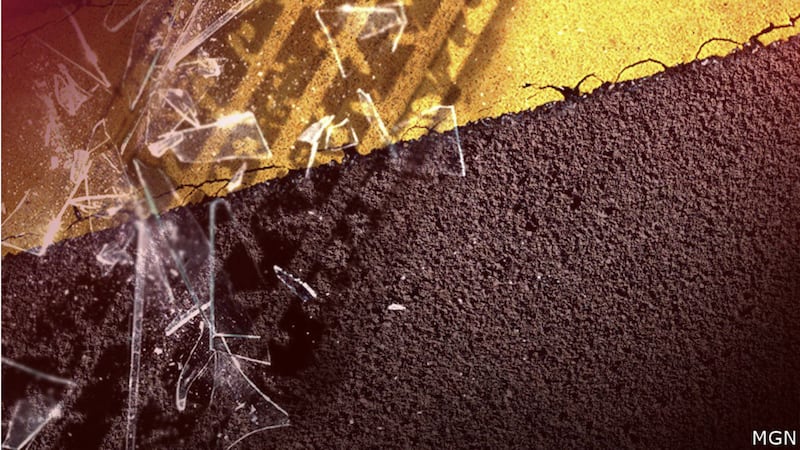 The Lexington County Coroner’s Office has identified two people who were killed in a Saturday...