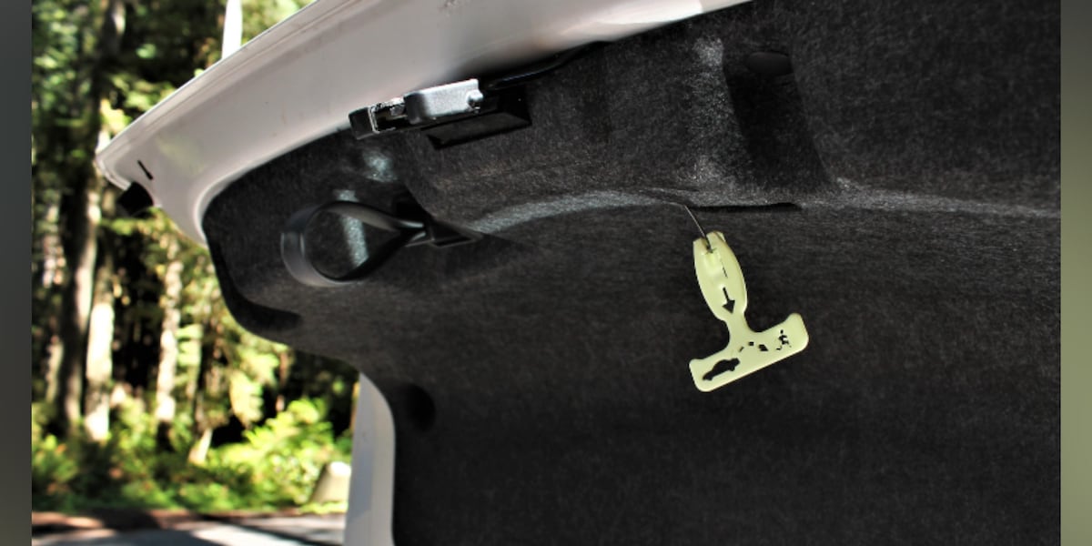 2 men survive kidnapping at gunpoint by calling 911 from trunk of car, police say