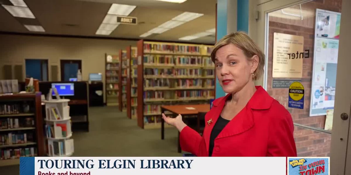 Elfin Library In Your Town Elgin: Inside the Elgin Library