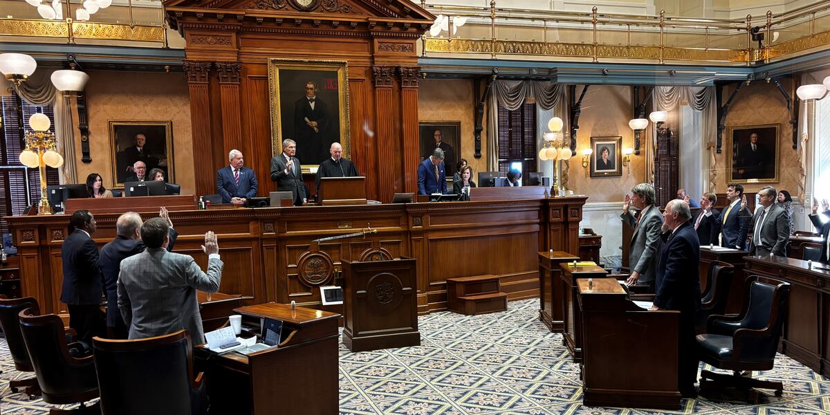 Senatorial Class SC Senate welcomes largest freshman class in recent history