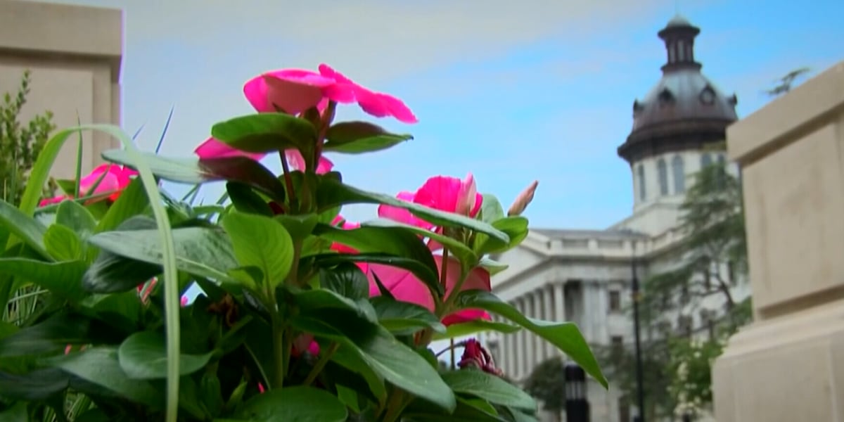 Gov. McMaster signs $350 million earmarks bill, funding projects across South Carolina