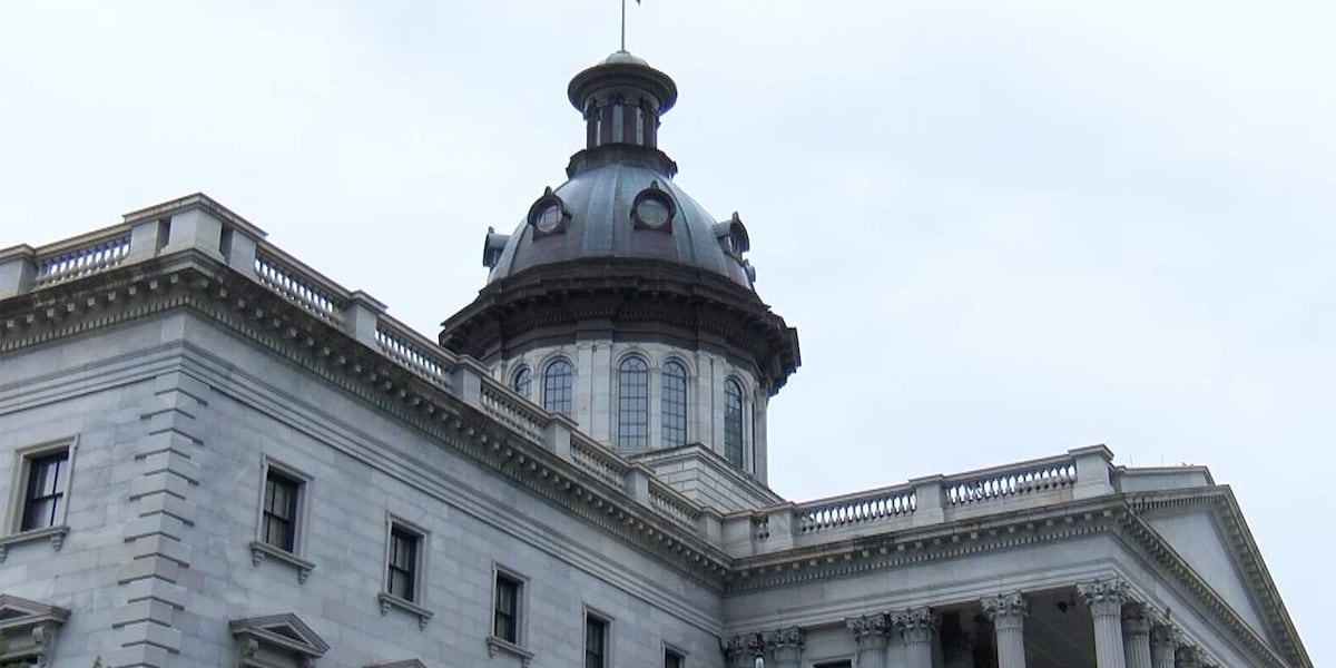 SC Senate committee approves redistricting proposal