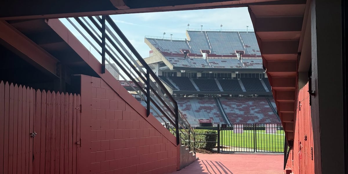 Williams-Brice Stadium phase one renovations complete ahead of season opener