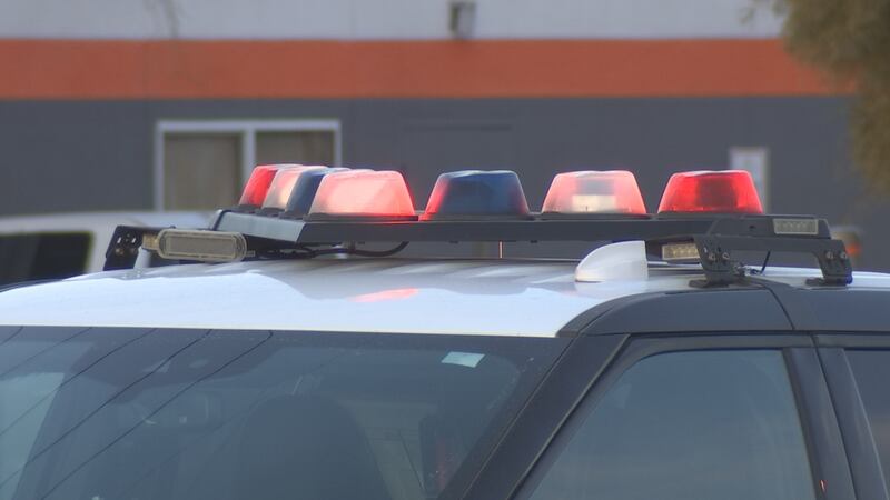 Lexington County businessman pleads guilty to filing false tax returns Lexington County businessman pleads guilty to filing false tax returns