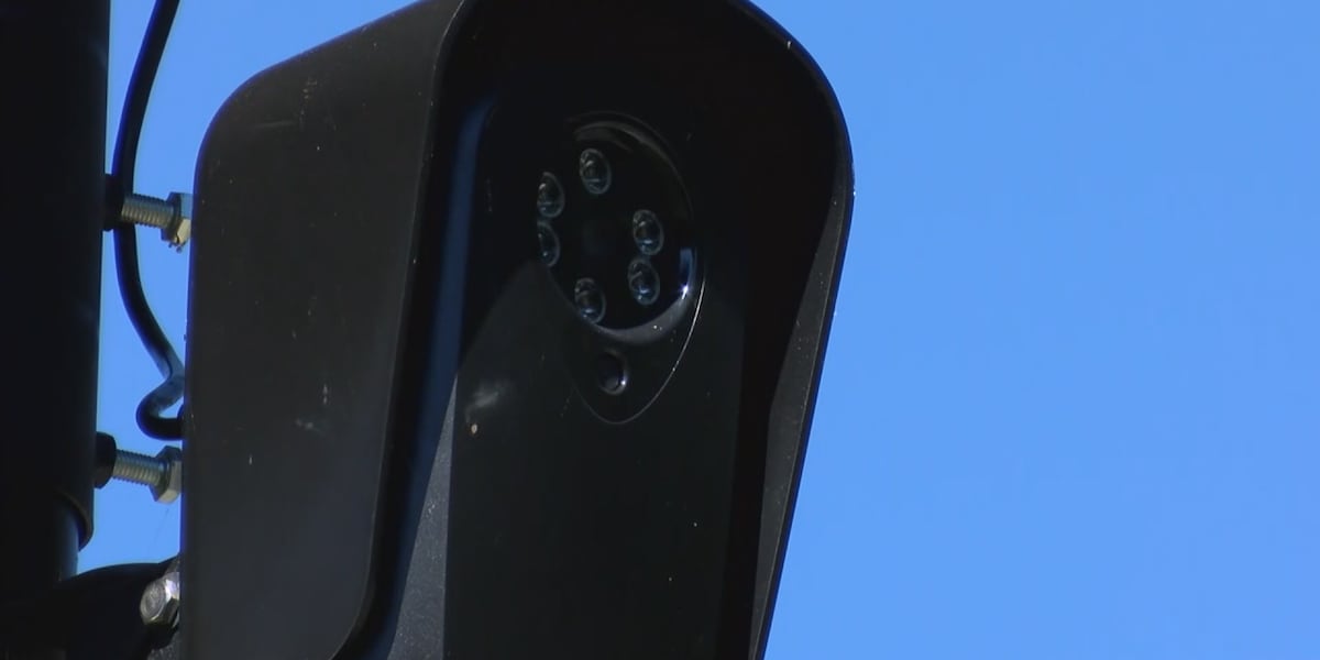 Could Irmo double what it spends on Flock cameras? Town leaders are considering it.