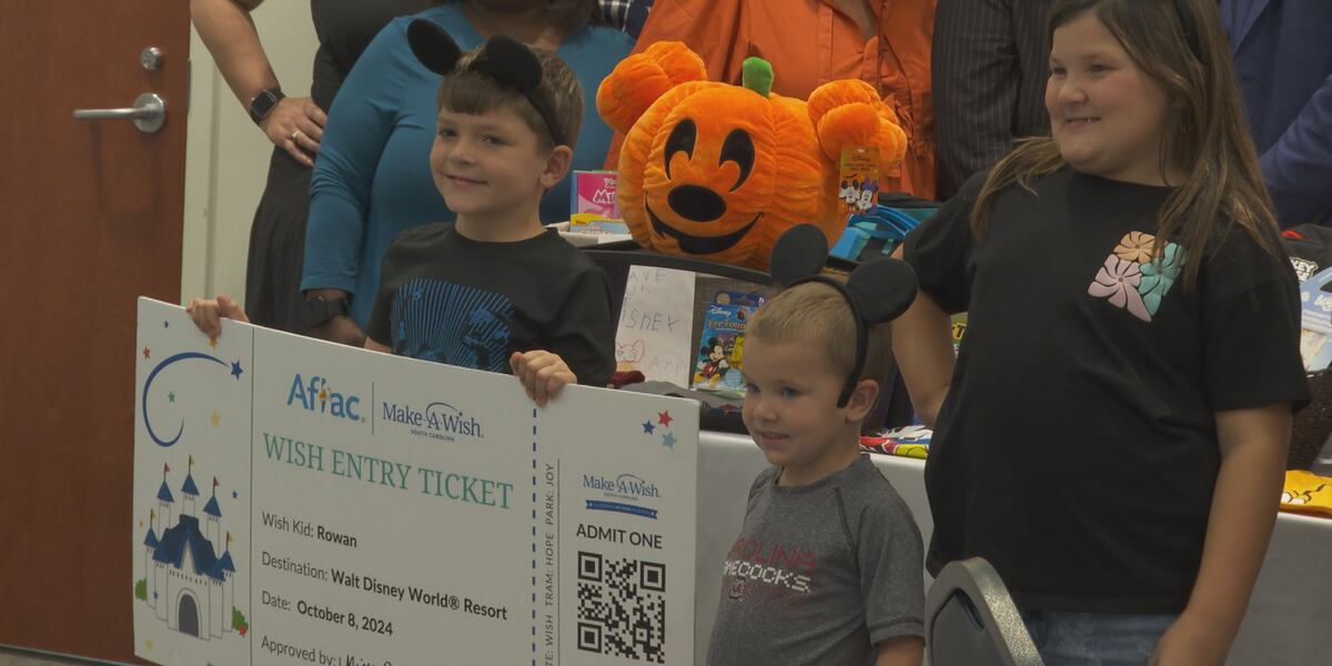 Local partnerships help a three-year-old boy’s dream to go to Disney World come true