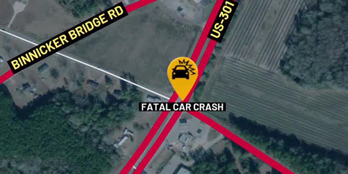 One dead after early morning crash in Orangeburg County