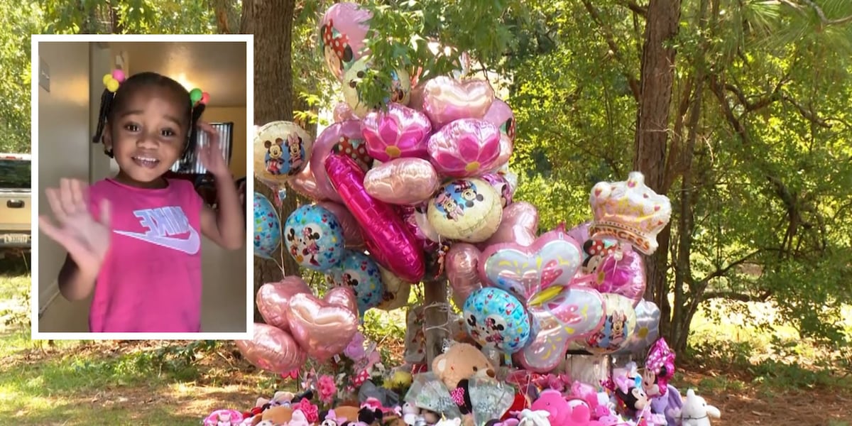 Javeayah Harris Remains Were Destroyed With Chemicals Sheriff Says javeayah-harris-remains-were-destroyed-with-chemicals-sheriff-says