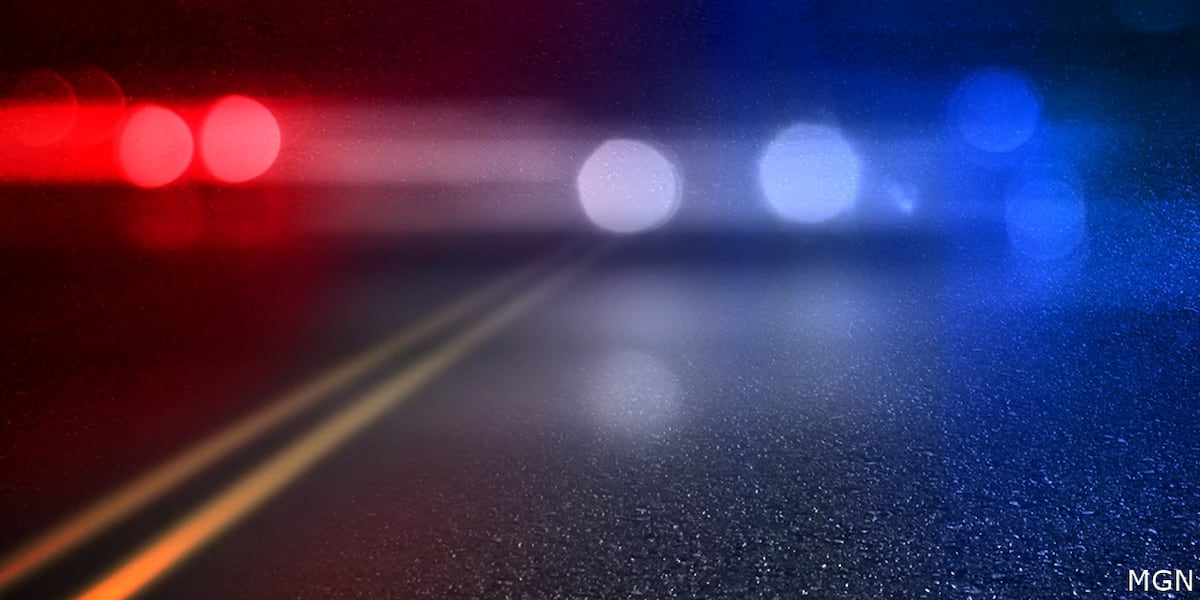Driver killed in crash on Garners Ferry Road