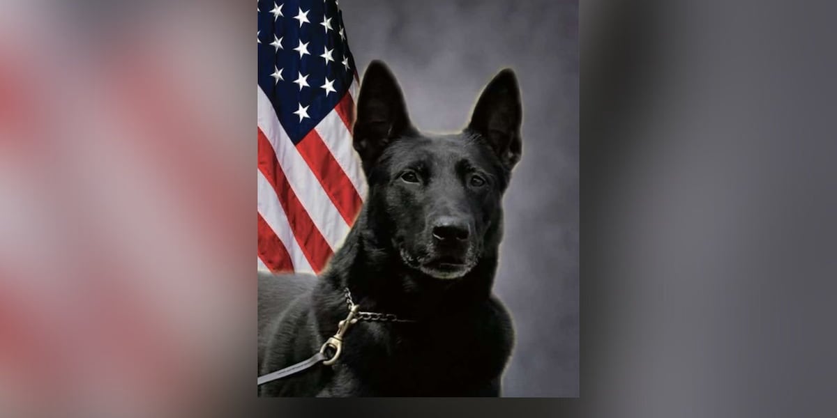K-9 shot in Calhoun County recovering at home, sheriff’s office says K-9 shot in Calhoun County recovering at home, sheriff’s office says