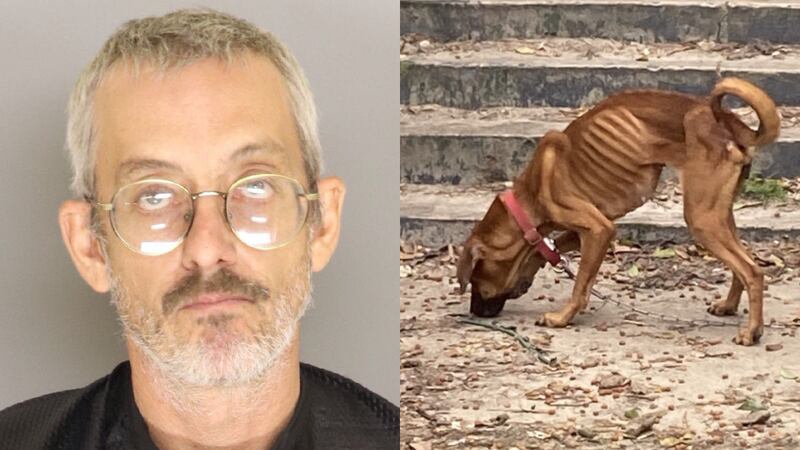 Robert Boyle (left) was arrested after deputies found Rebel (right) and other dogs at a home...