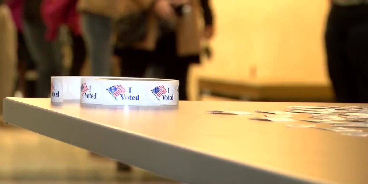 Hand Count Audit Richland Co. finds no discrepancies in hand count audit