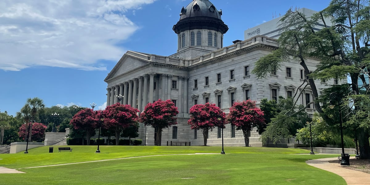 Labor Day Rally at SC State House Advocates for Workers' Rights