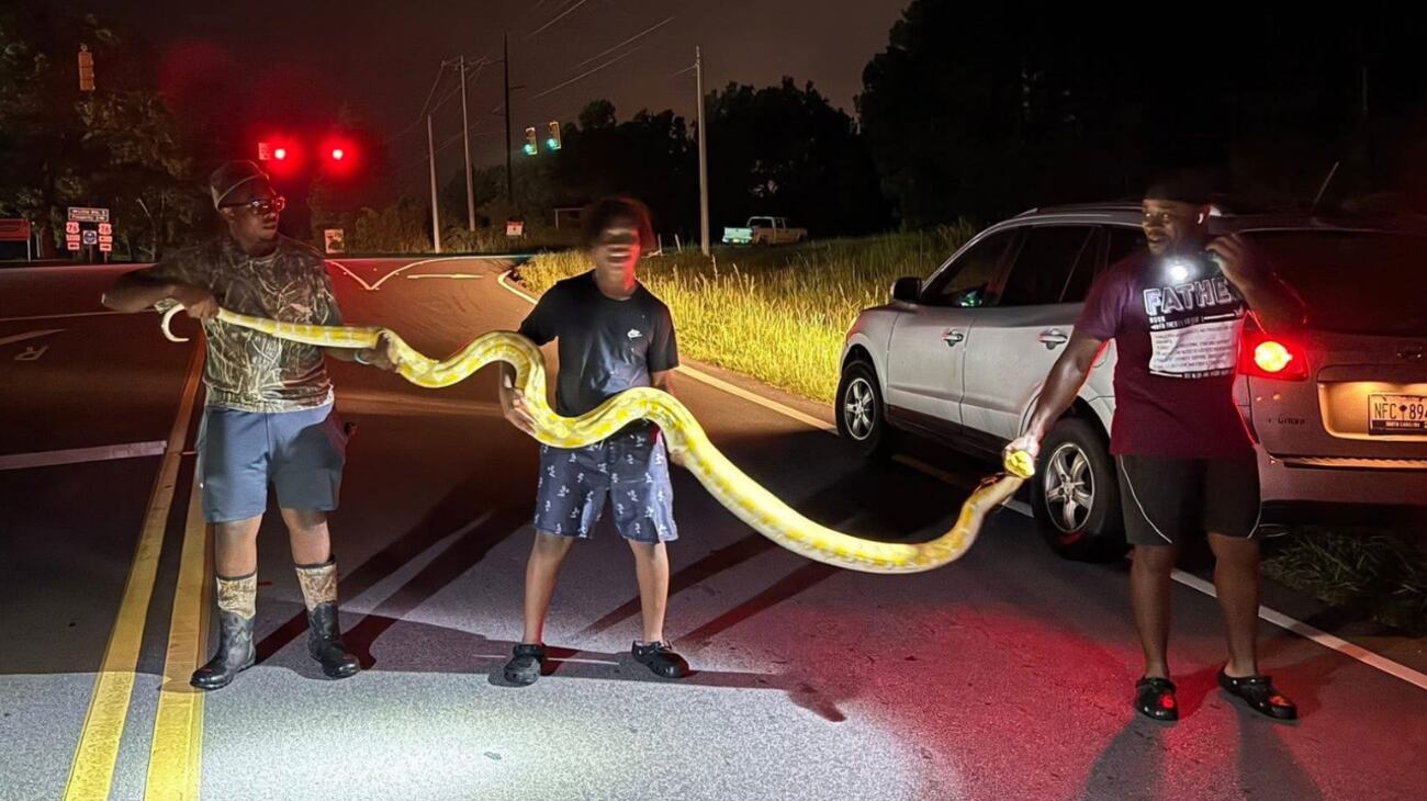 shelby township police spent wednesday night digging a... LOOK: Python caught after being spotted in Newberry County, sheriff says