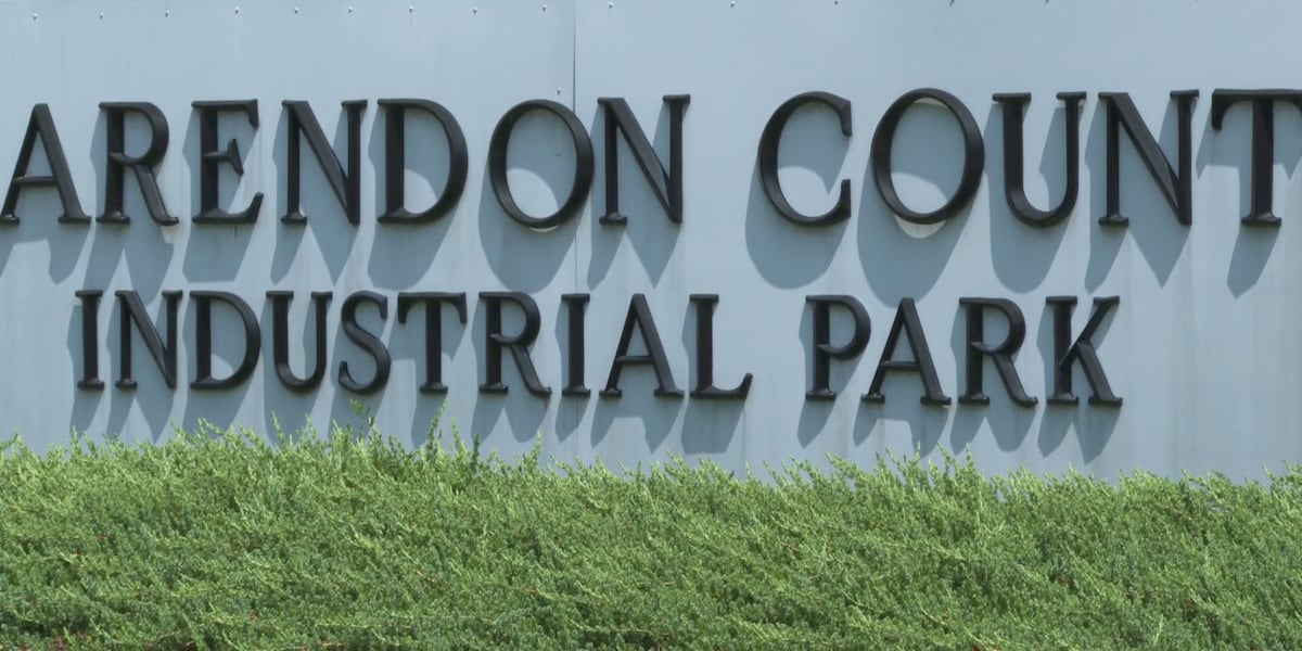 Clarendon County rushes to close zoning loophole as first data center heads to industrial park