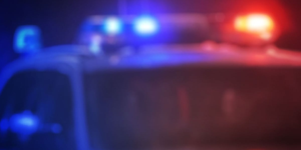 What Happened in Orangeburg County's Fatal Hit-and-Run?