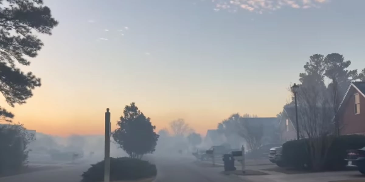 Carolina Forest wildfire remains 55% contained on day 9