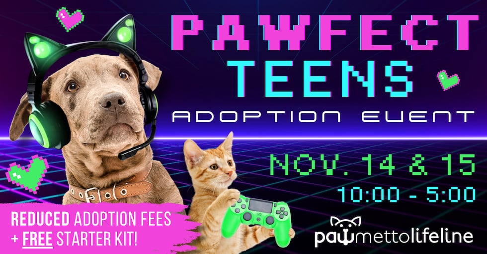 Pawfect Teens Pawmetto Lifeline