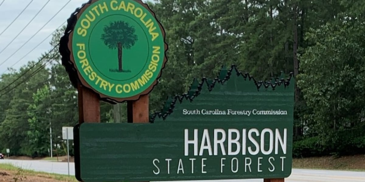 Officials: 1 of 2 dogs involved in attacks at Harbison State Forest killed in shooting