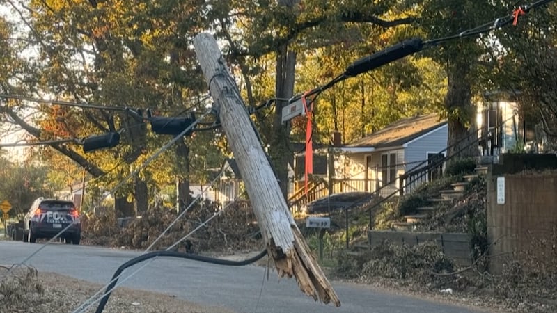 Dominion Energy is meeting with local governments across South Carolina to ensure emergency...