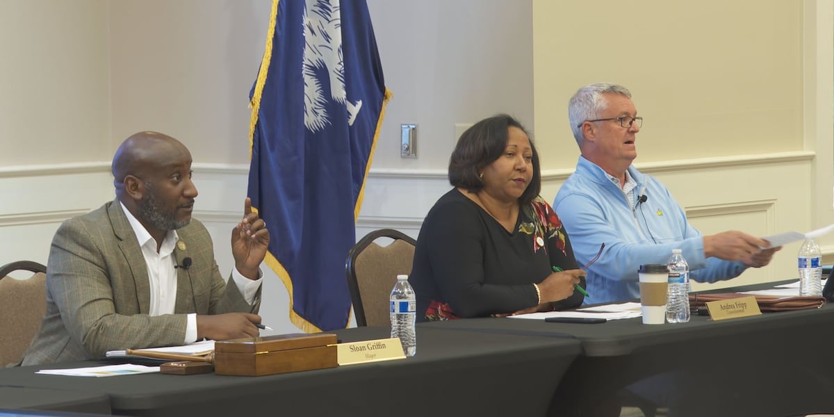Blythewood Town Council votes in favor of government change, curfew vote postponed
