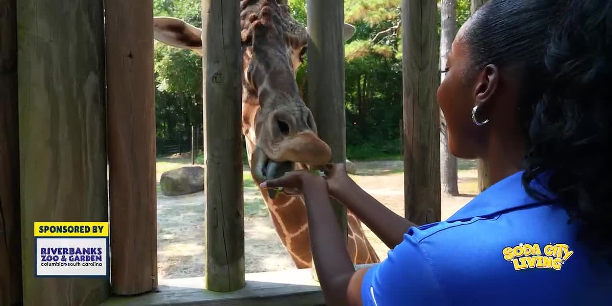 Beyond the Banks: Behind the Scenes of Riverbanks Zoo’s Animal Meal Prep