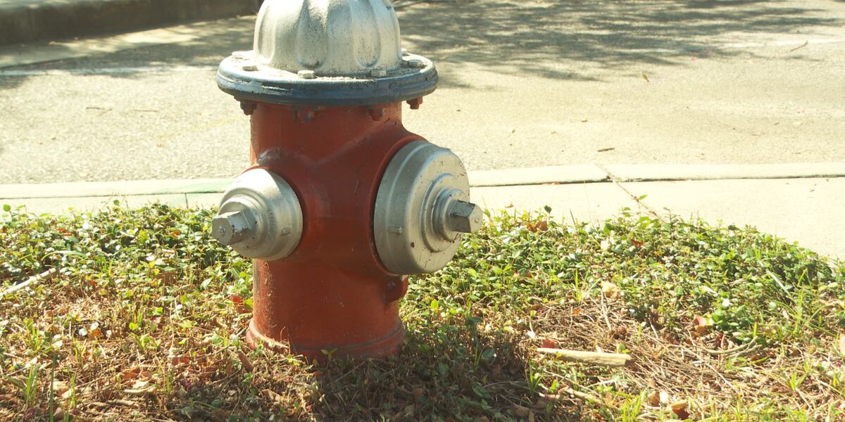 Fire Defect 400 fire hydrants had defects in the Columbia area this July
