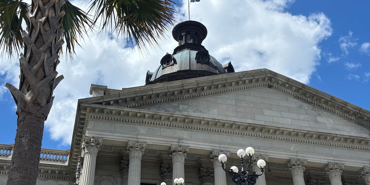 SC lawmaker wants to ensure paid parental leave covers stillbirths SC lawmaker wants to ensure paid parental leave covers stillbirths