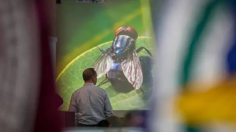 An official with the Texas A&M AgriLife Extension works at the State Operations Center during...
