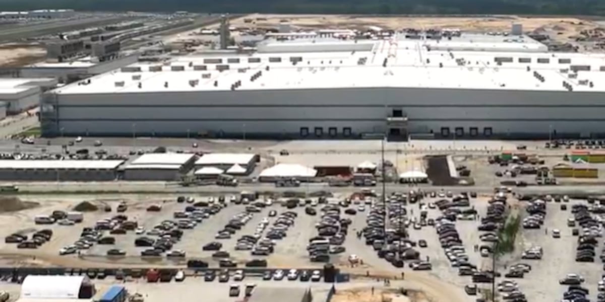 CEO killed at industrial site by worker operating forklift while talking on the phone, OSHA report shows CEO killed at industrial site by worker operating forklift while talking on the phone, OSHA report shows