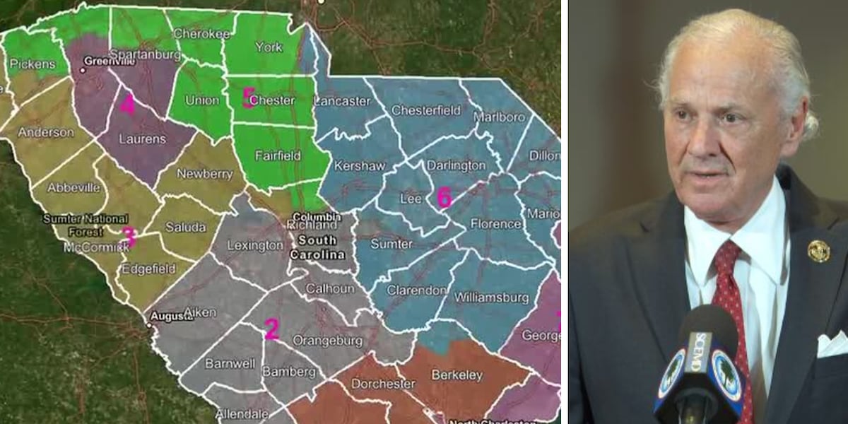 Sources: McMaster expected to call SC lawmakers back for special session on redistricting