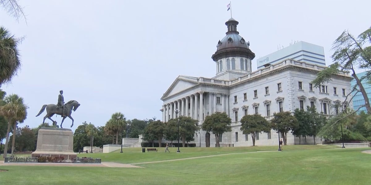 cluster (priority): WIS News 10 Why the Senate Rejected the Map: A Timing Crisis