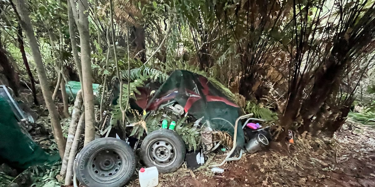 How Did a Man Conceal His Three Children in a New Zealand Forest for Years?