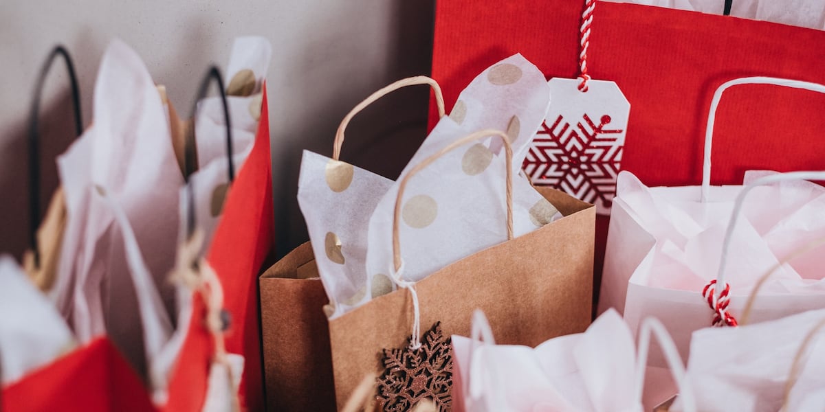 Lexington County deputies share safety tips regarding holiday shopping Lexington County deputies share safety tips regarding holiday shopping