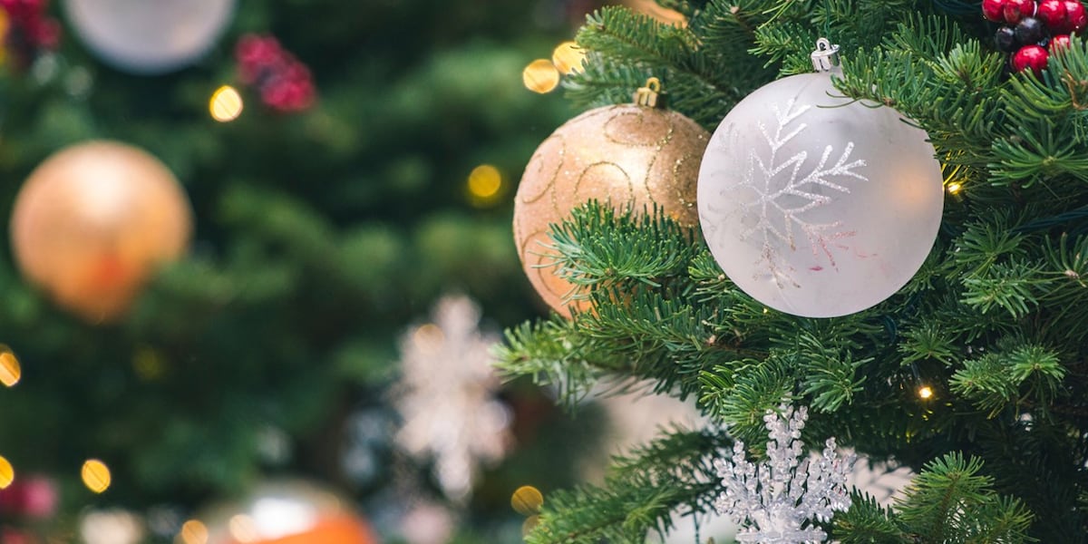 Are You Ready for Christmas? Just 100 Days to Go!