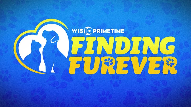 WIS Primetime takes a special look at pet adoptions and fosters in the Midlands in "Finding...