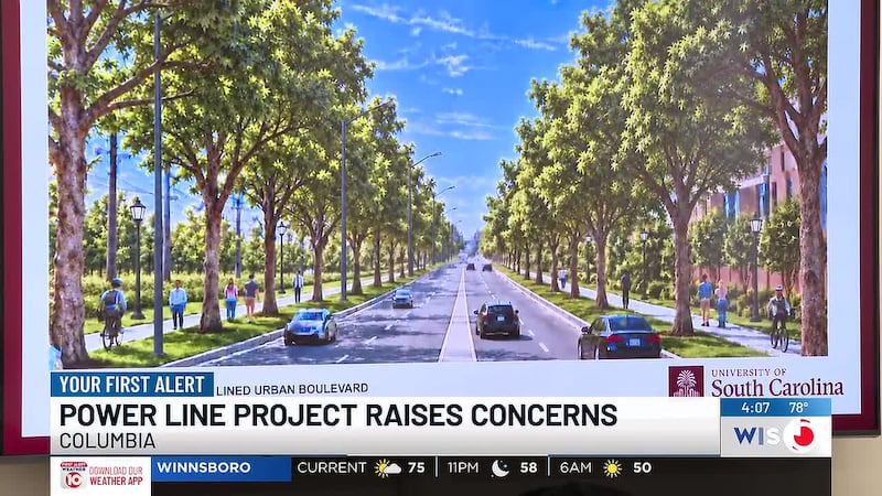 Residents shared their concern about infrastructure changes that come with the University of...