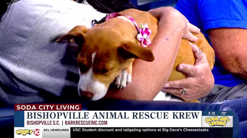 Soda City Living - Bishopville Animal Rescue Krew