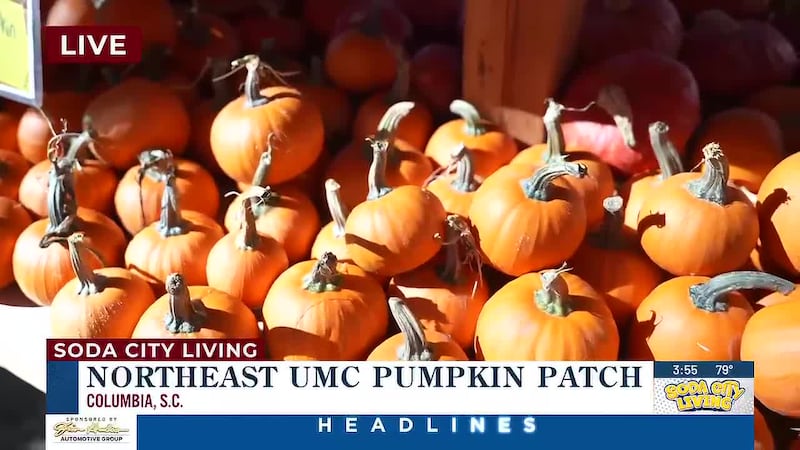 Soda City Living - Northeast UMC Pumpkin Patch pt. 4