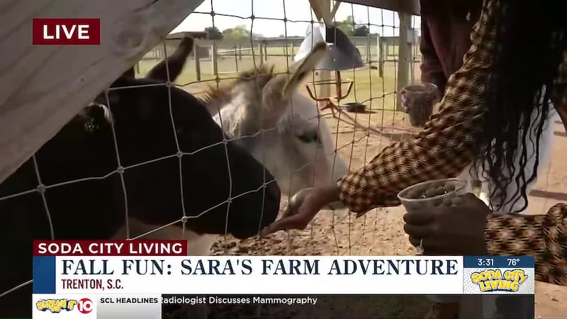 Sara's Farm Adventure Pt 4
