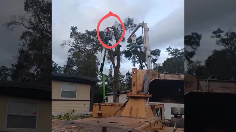 Thanksgiving recipes for large crowd Thanksgiving recipes for large crowd